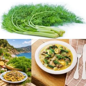 Yerli İzmir Arapsaçı Tohumu – Foeniculum vulgare