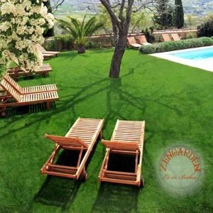 Çim tohumu karışımı 4'lü Efes karışım 5 kg