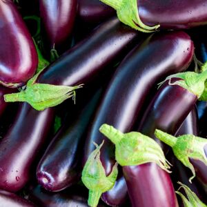 Pırlanta patlıcan tohumu atalık diamond eggplant
