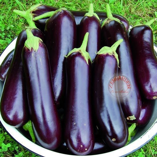 Pırlanta patlıcan tohumu atalık diamond eggplant