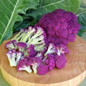 İtalyan mor karnabahar tohumu Atalık