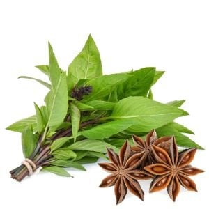 Acem fesleğeni tohumu anoson aromalı anise basil