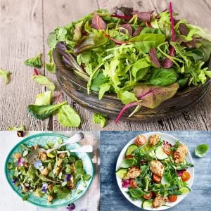 Şifalı baharlı salata tohum karışımı