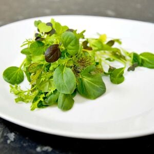 Uzakdoğu baharlı salata tohum karışımı