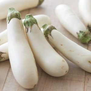 Casper beyaz patlıcan tohumu erkenci saksı tipi