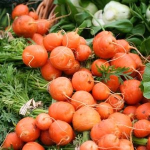 Top havuç tohumu atalık parisian carrot