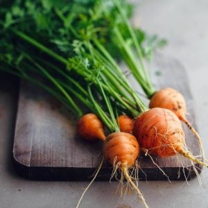 Top havuç tohumu atalık parisian carrot