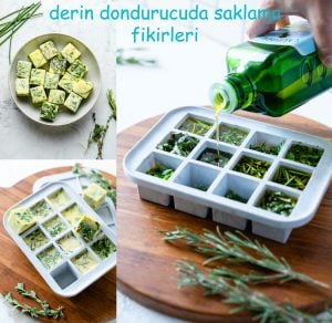 Staro frenk soğanı tohumu soğanotu chives