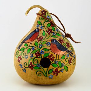 Kırlangıç yuvası su kabağı tohumu martin house gourd
