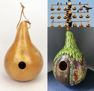 Kırlangıç yuvası su kabağı tohumu martin house gourd