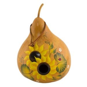 Kırlangıç yuvası su kabağı tohumu martin house gourd