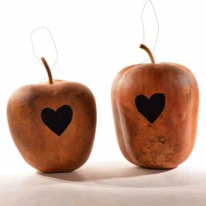 Elma şeklinde sukabağı tohumu big apple gourd seeds
