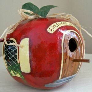 Elma şeklinde sukabağı tohumu big apple gourd seeds
