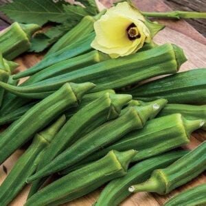 Louisiana Green Velvet Bamya Tohumu – Dikensiz Atalık Okra