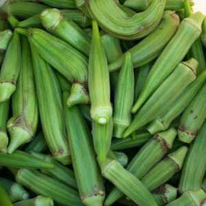 Louisiana Green Velvet Bamya Tohumu – Dikensiz Atalık Okra
