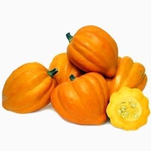 Altın acorn kışlık kabak tohumu table golden acorn squash