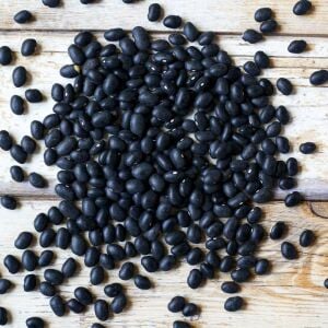 Black Turtle Soup Fasulye Tohumu – Siyah Çorbalık Fasulye