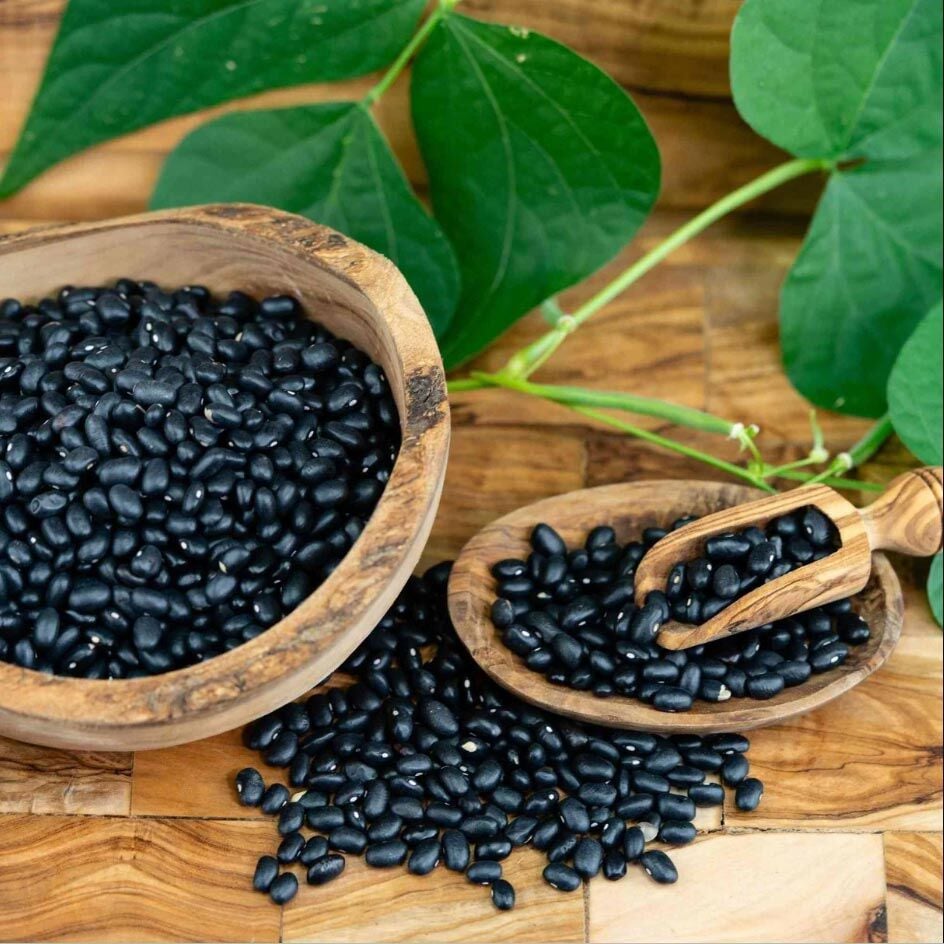 Black Turtle Soup Fasulye Tohumu – Siyah Çorbalık Fasulye