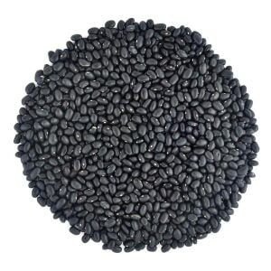 Black Turtle Soup Fasulye Tohumu – Siyah Çorbalık Fasulye