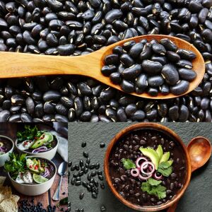 Black Turtle Soup Fasulye Tohumu – Siyah Çorbalık Fasulye