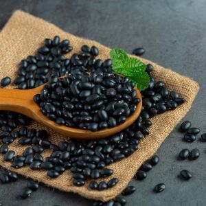 Black Turtle Soup Fasulye Tohumu – Siyah Çorbalık Fasulye