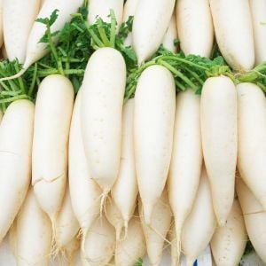 Japon beyaz havuç turp tohumu minowase daikon