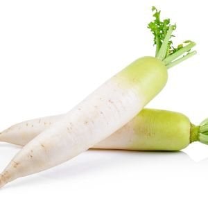 Japon beyaz havuç turp tohumu minowase daikon