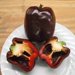 Renkli dolmalık biber tohumu kahverengi iri chocolate