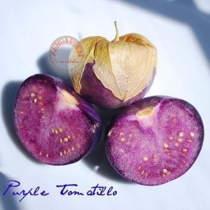 Mor altın çilek tohumu tomatillo physalis ixocarpa