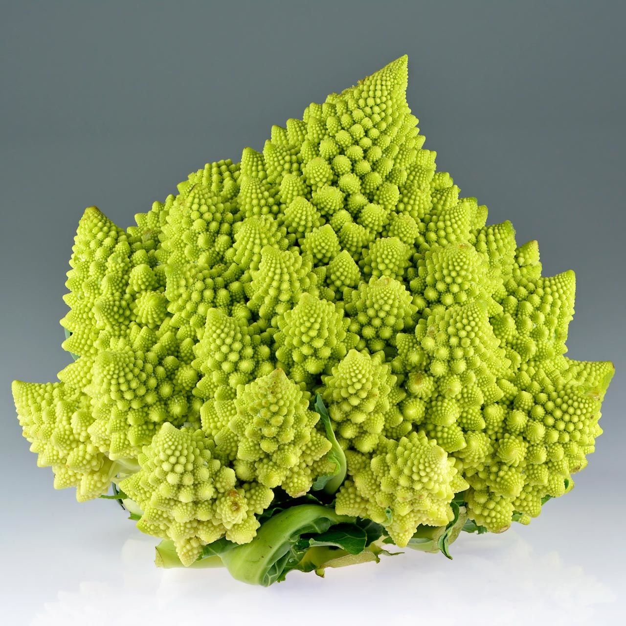 İtalyan romanesco brokoli tohumu