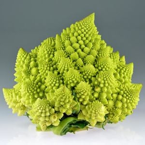 İtalyan romanesco brokoli tohumu