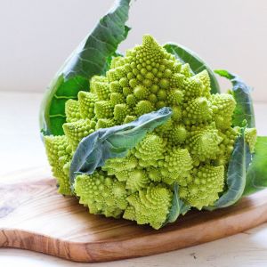 İtalyan romanesco brokoli tohumu