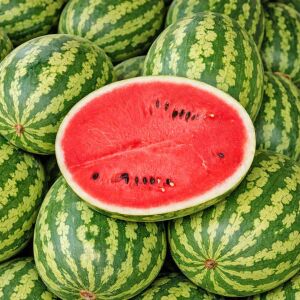 Klondike Striped Karpuz Tohumu – Çizgili Tatlı Atalık Karpuz