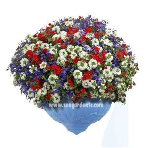 Flora aplik plastik dekoratif duvar saksısı 25 cm Somon