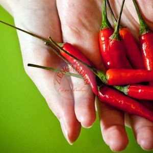 Kuş gözü acı biber tohumu çok yıllık