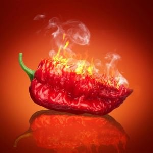 Dünyanın en acı biberi bhut jolokia biber tohumu