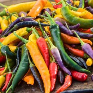 Cayenne Blend Mix Acı Biber Tohumu