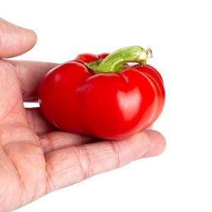 Alma paprika acı biberiye biber tohumu