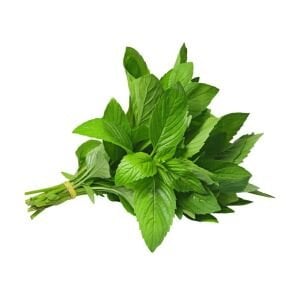 Limonlu isviçre nanesi fidesi mentha piperita swiss lemon mint