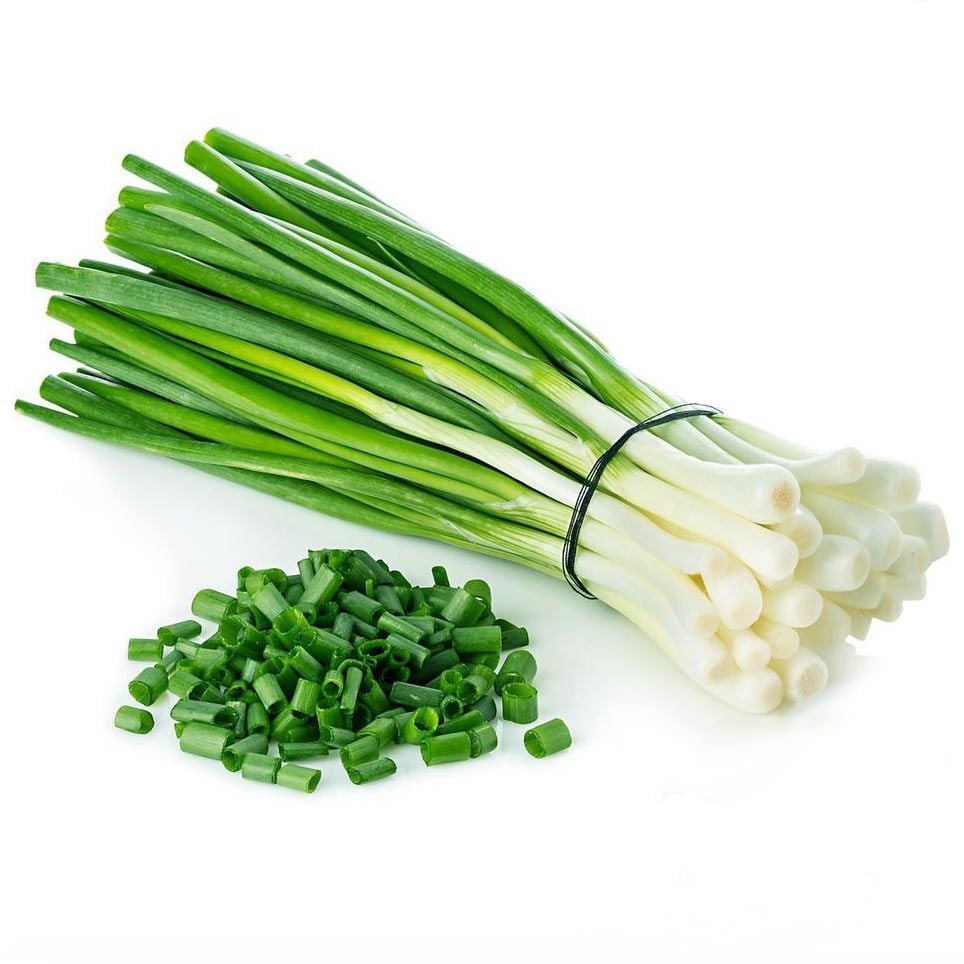 Tokyo taze soğan tohumu geleneksel white long allium fistulosum