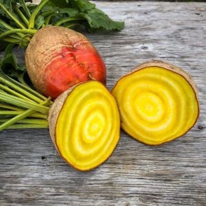Burpee altın pancar tohumu atalık burpee's golden beet