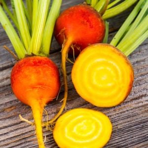 Burpee altın pancar tohumu atalık burpee's golden beet
