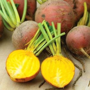 Burpee altın pancar tohumu atalık burpee's golden beet