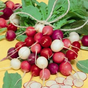 Mini turp tohumu geleneksel gökkuşağı karışımı yumurta şekilli