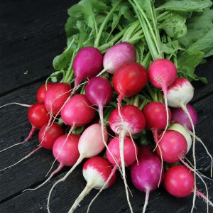 Mini turp tohumu geleneksel gökkuşağı karışımı yumurta şekilli