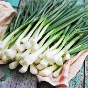 Taze soğan tohumu geleneksel white spear seeds allium fistulosum
