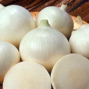 Soğan tohumu ispanyol tatlı beyaz baş soğan allium cepa seeds