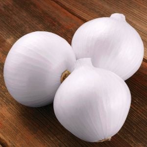 Soğan tohumu ispanyol tatlı beyaz baş soğan allium cepa seeds
