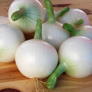 Soğan tohumu ispanyol tatlı beyaz baş soğan allium cepa seeds