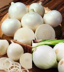 Soğan tohumu ispanyol tatlı beyaz baş soğan allium cepa seeds